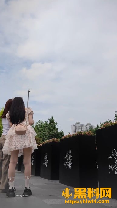 美腿3