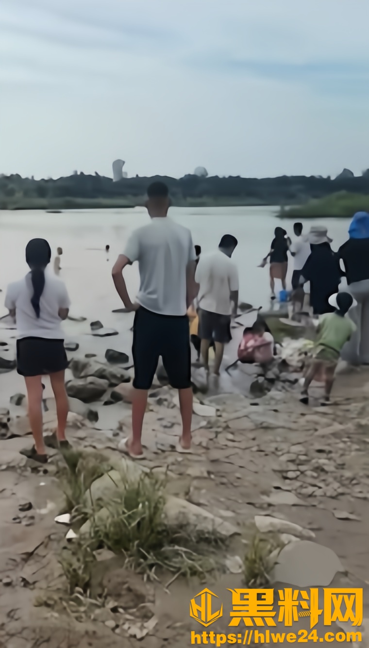 浐河东路4