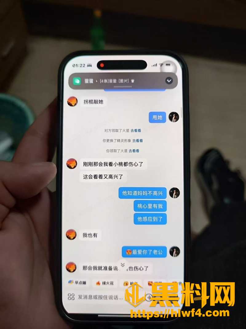胡元政 4