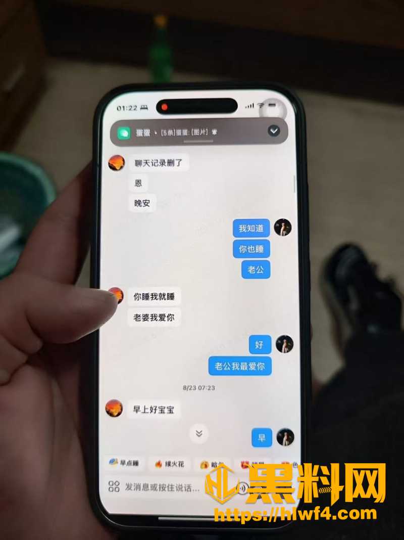 胡元政 6