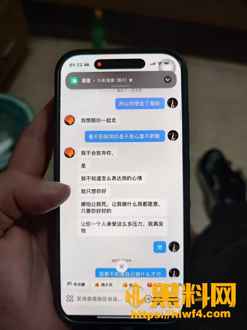 胡元政 7