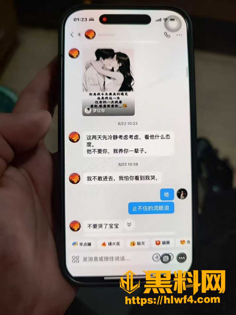 胡元政 9