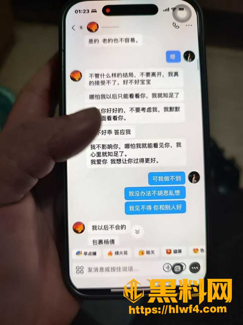 胡元政 10