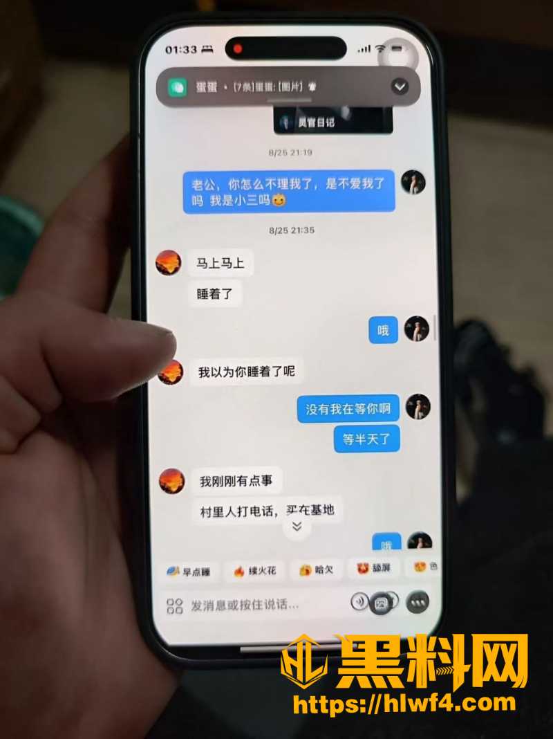 胡元政 11