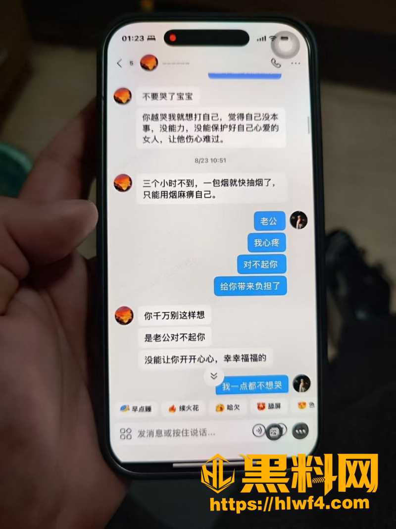 胡元政 12