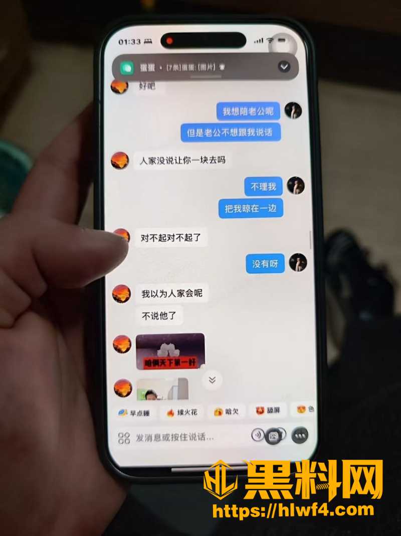 胡元政 13