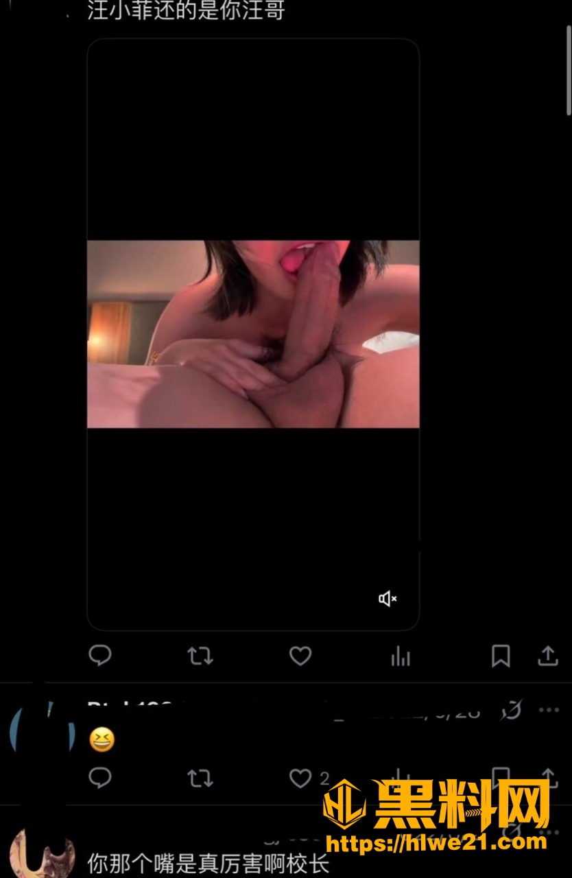 汪小菲婚内出轨大瓜  3