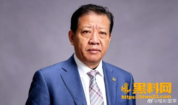 葵花药业创始人血案真相 3