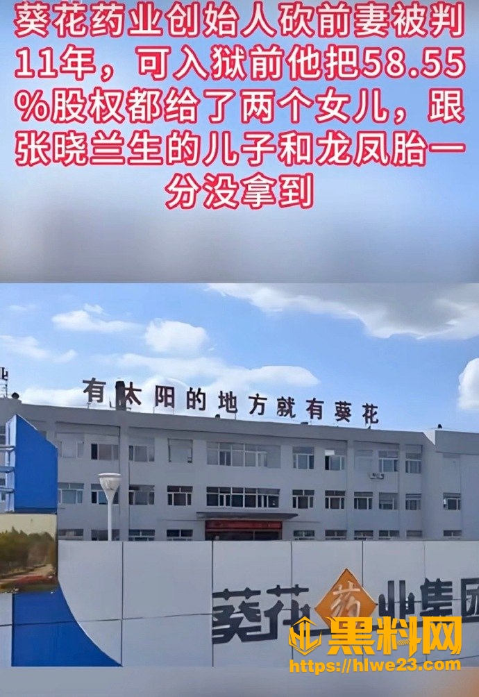 关彦斌龙凤胎私生子 1