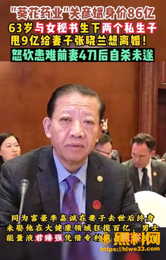 关彦斌龙凤胎私生子 2