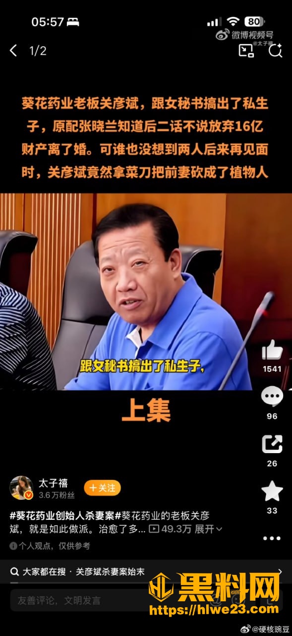 关彦斌龙凤胎私生子 3
