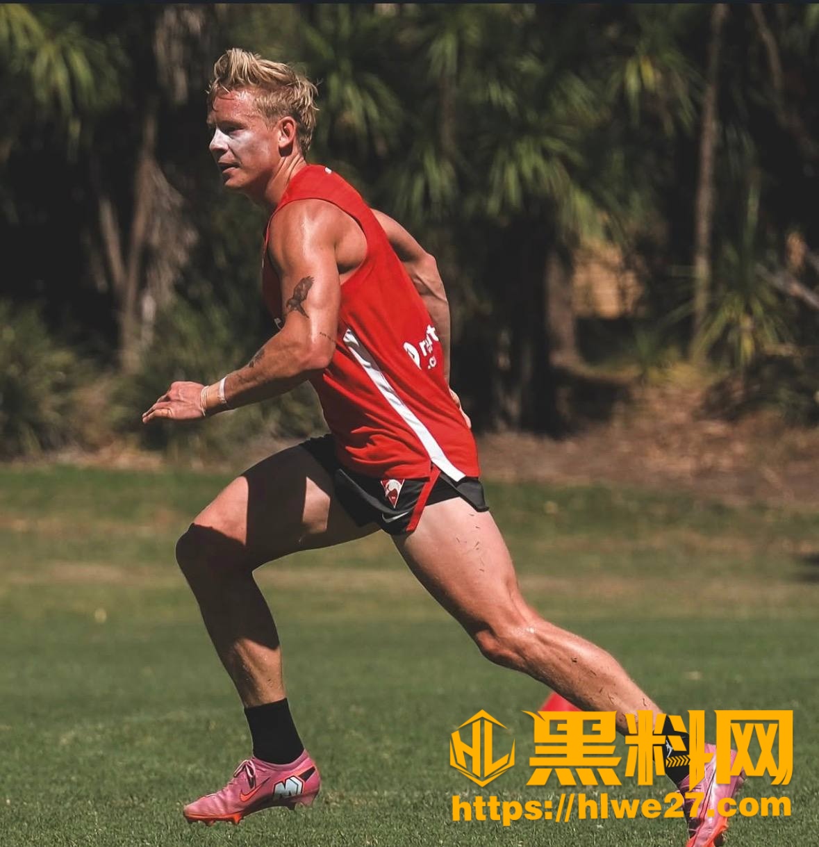 悉尼天鹅队球员嫖娼事件
