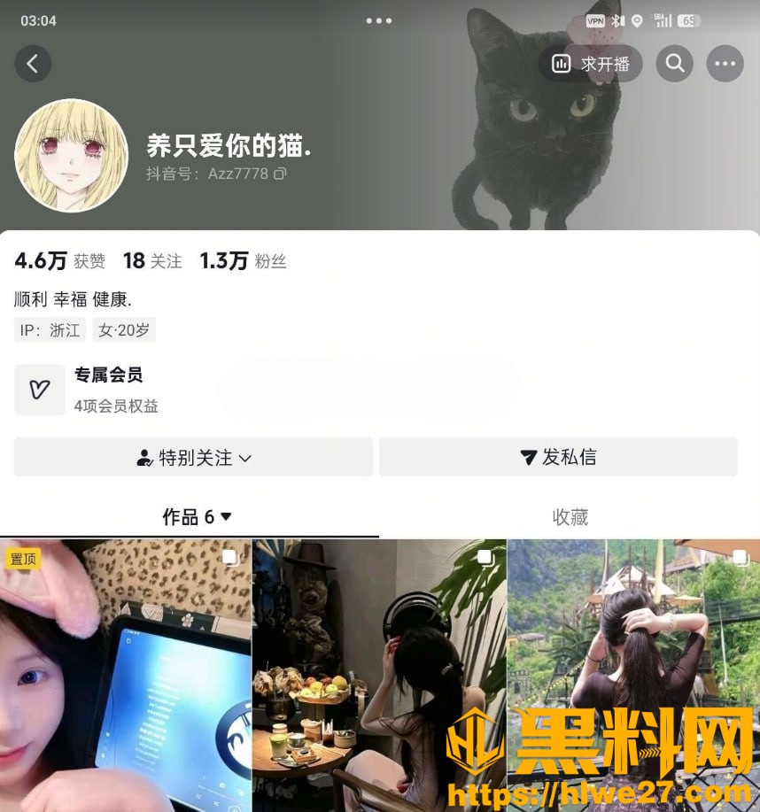 养只爱你的猫福利资源1