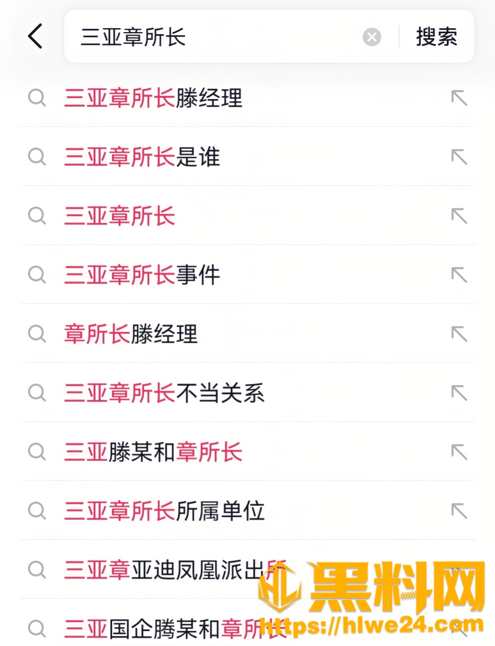 海南三亚国企高管藤宇4