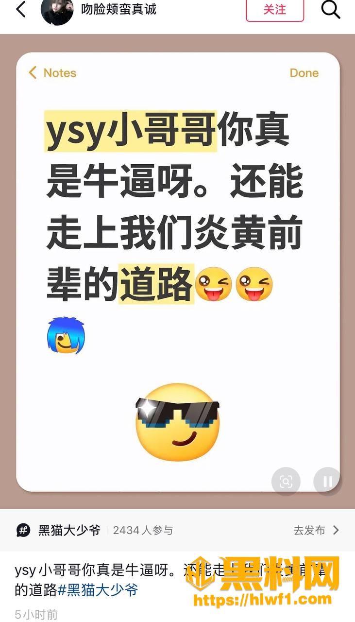 黑猫大少爷翻车