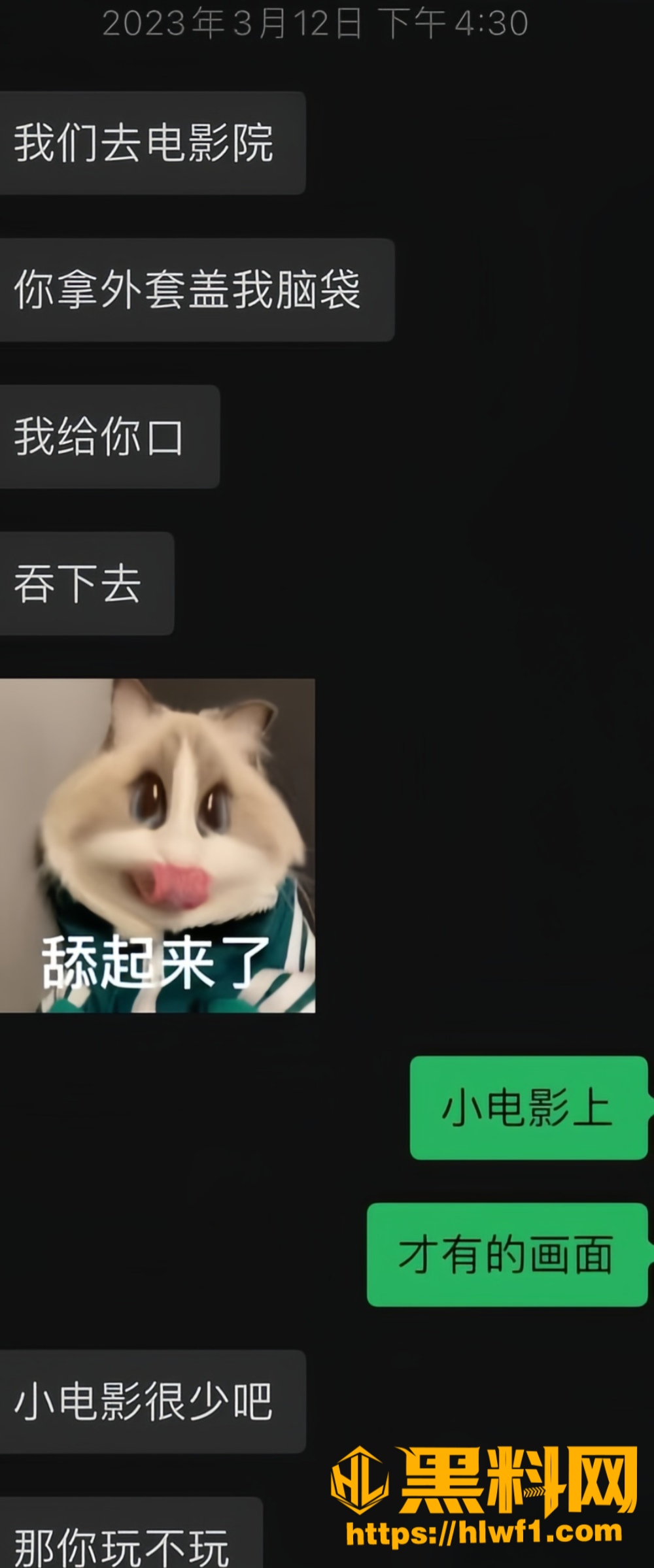 渣女套路tjc生私生子12