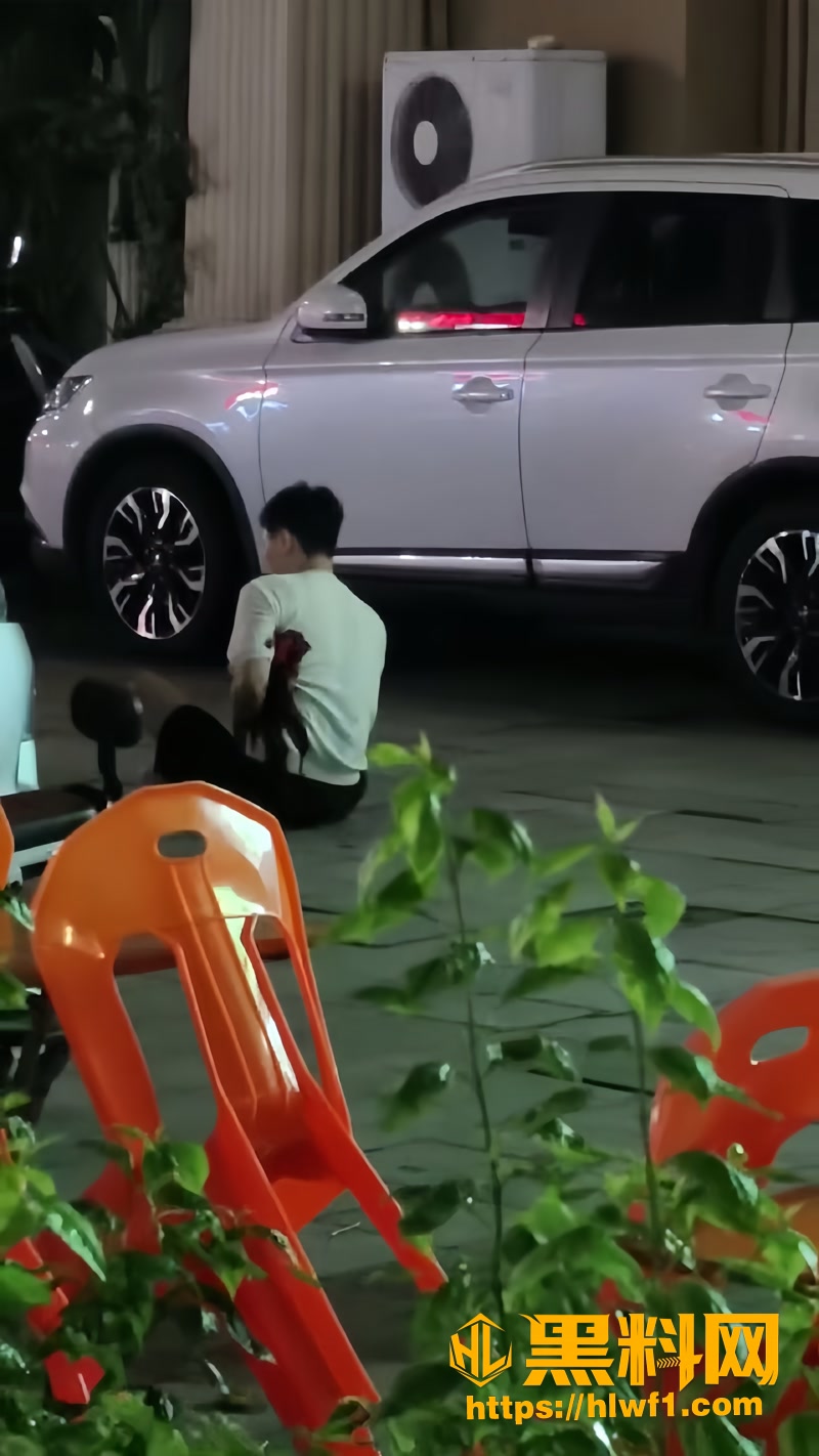 03大舅哥捅伤家暴男1 2wm