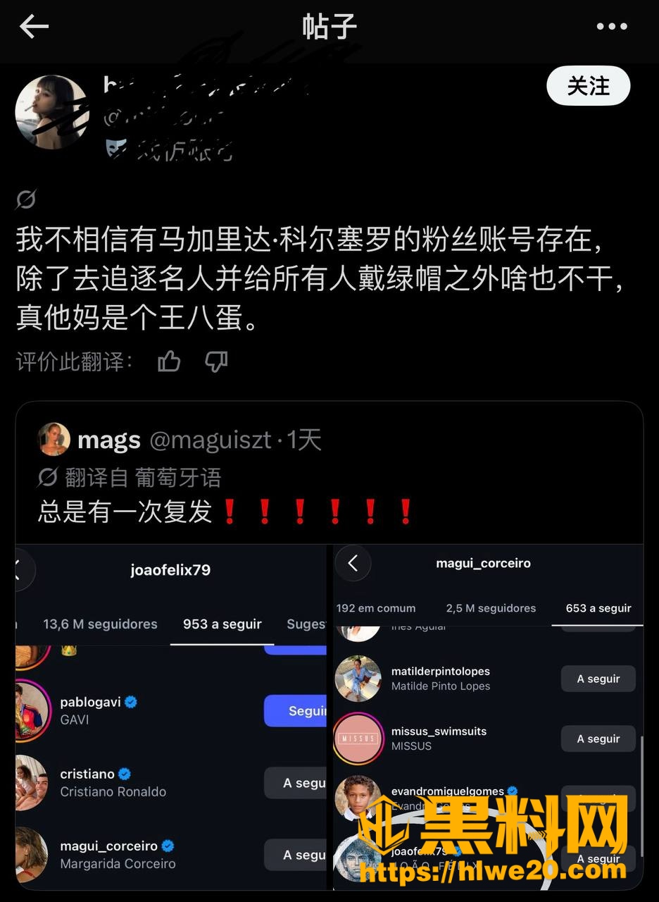 绿帽侠 5