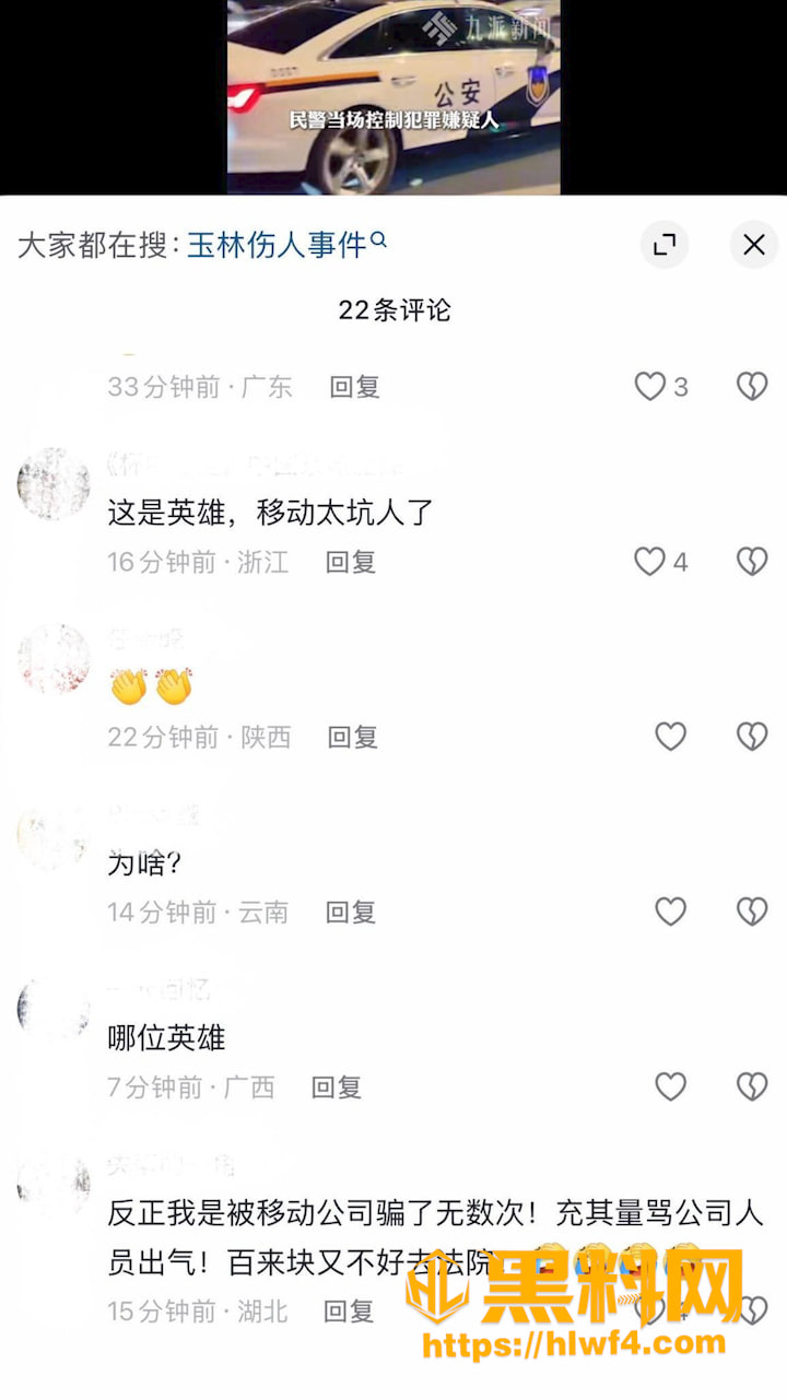 广西玉林故意伤害案 2