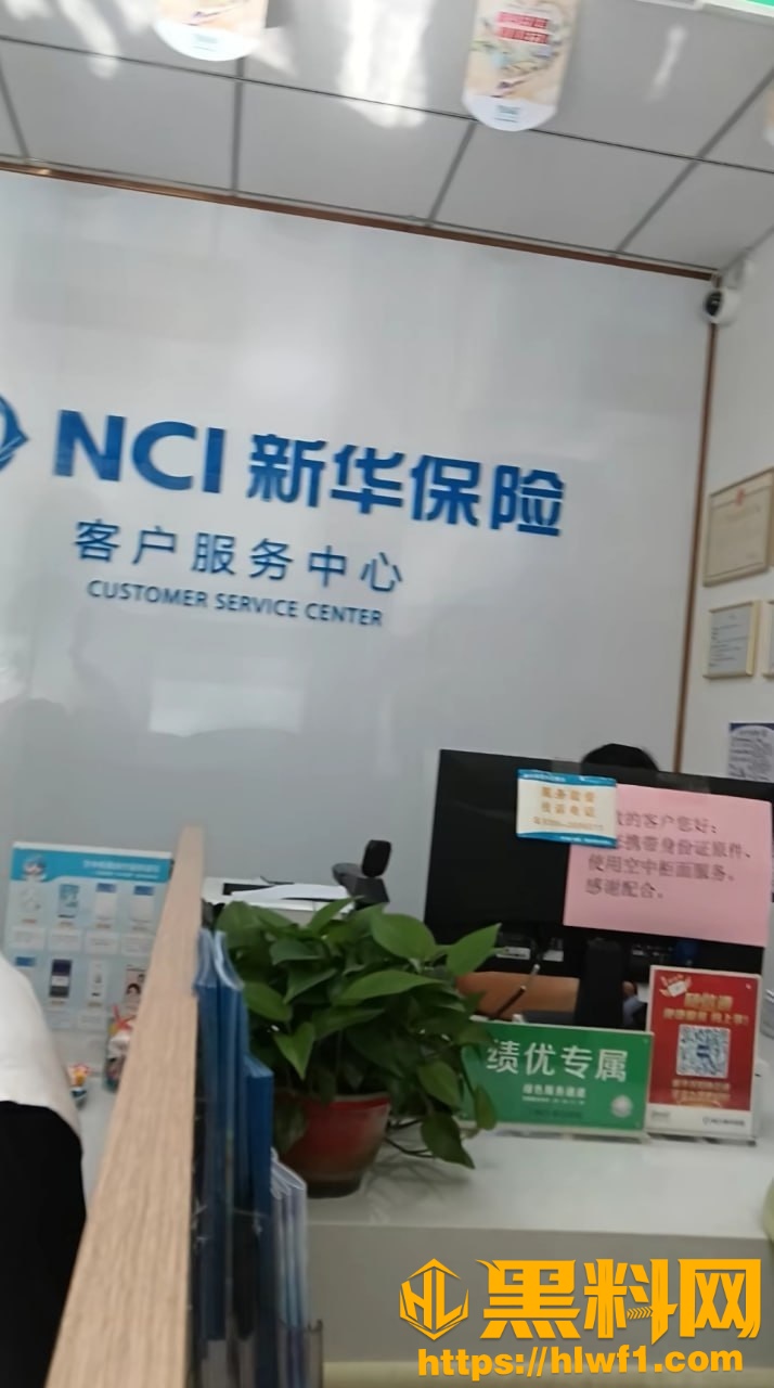 新华保险女销售2