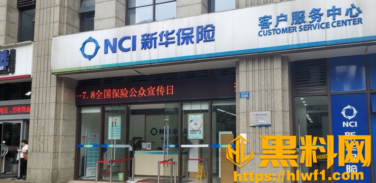 新华保险女销售4