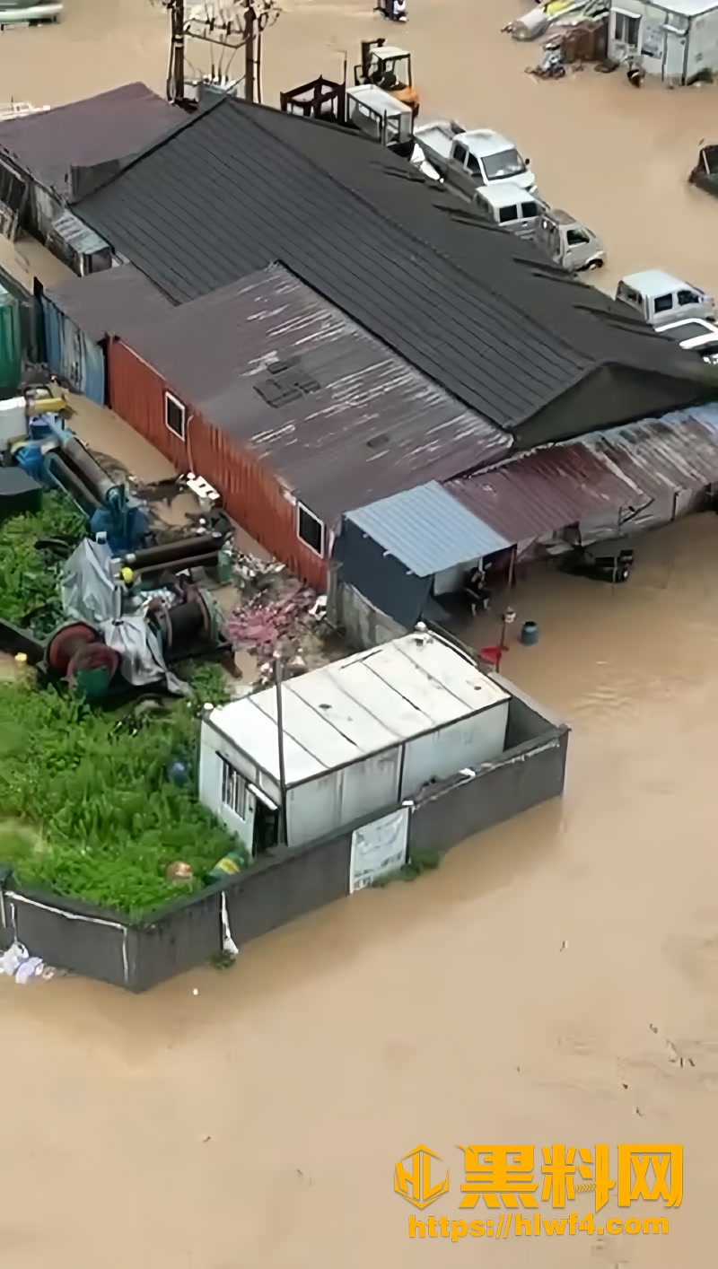 01瑞安仙降金山暴雨内涝现场1 1wm