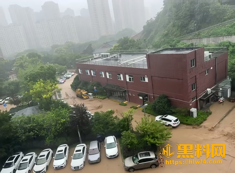 02道路成河车辆被困实拍1 2wm