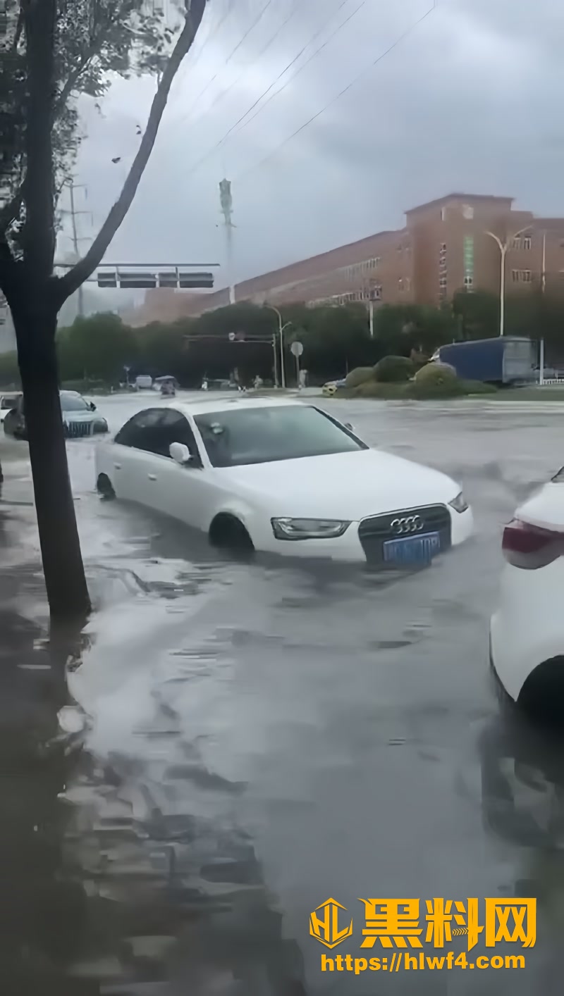 03浙江瑞安暴雨最新消息1 3wm