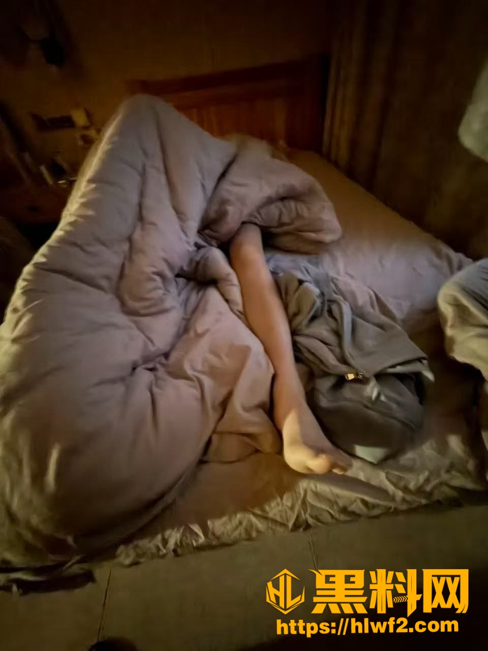 揭秘贪官的情色交易