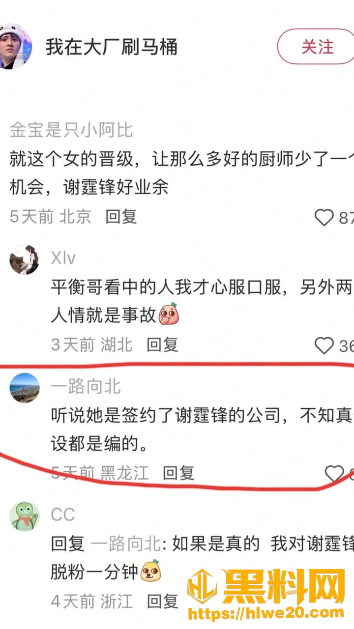 飞天小辣椒25