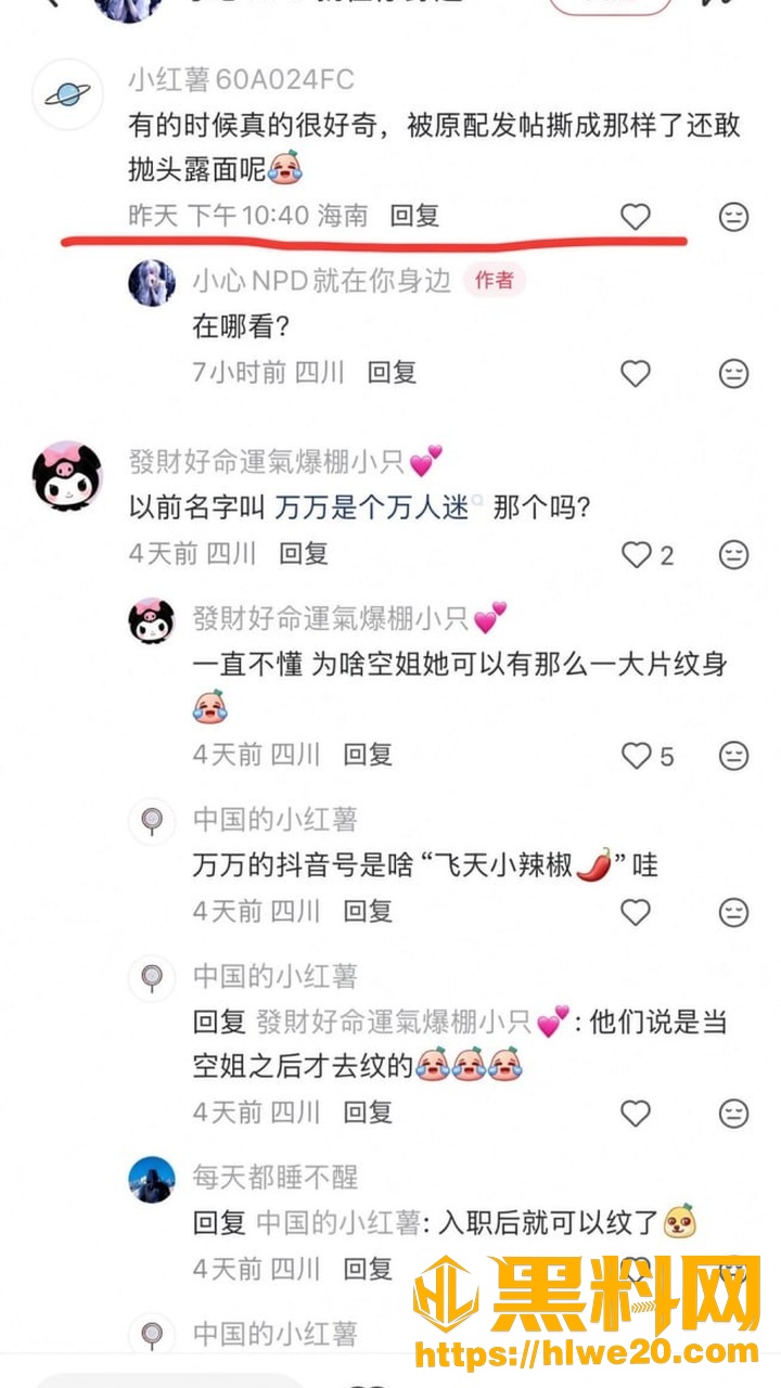 飞天小辣椒28