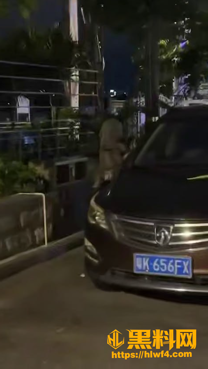 水东街最新瓜7
