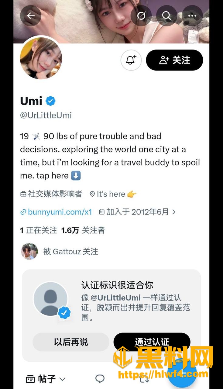 Gattouz0三丽鸥甜美合体 2