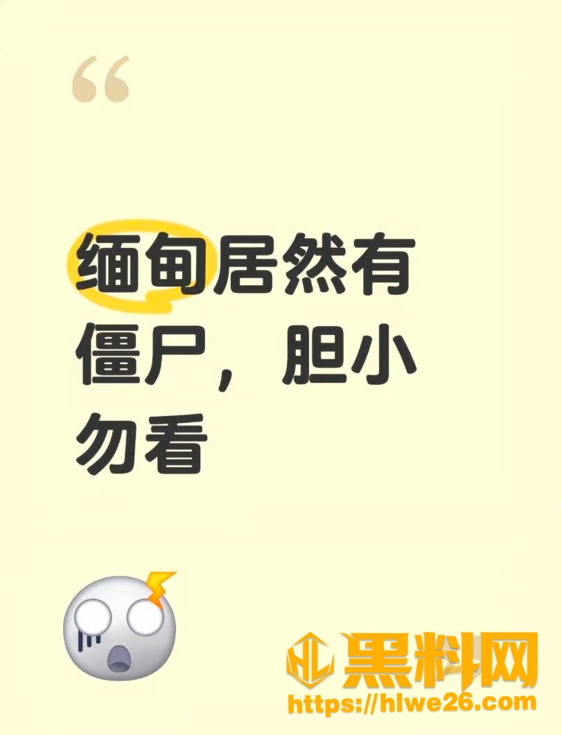 缅甸村庄夜见黑影事件1