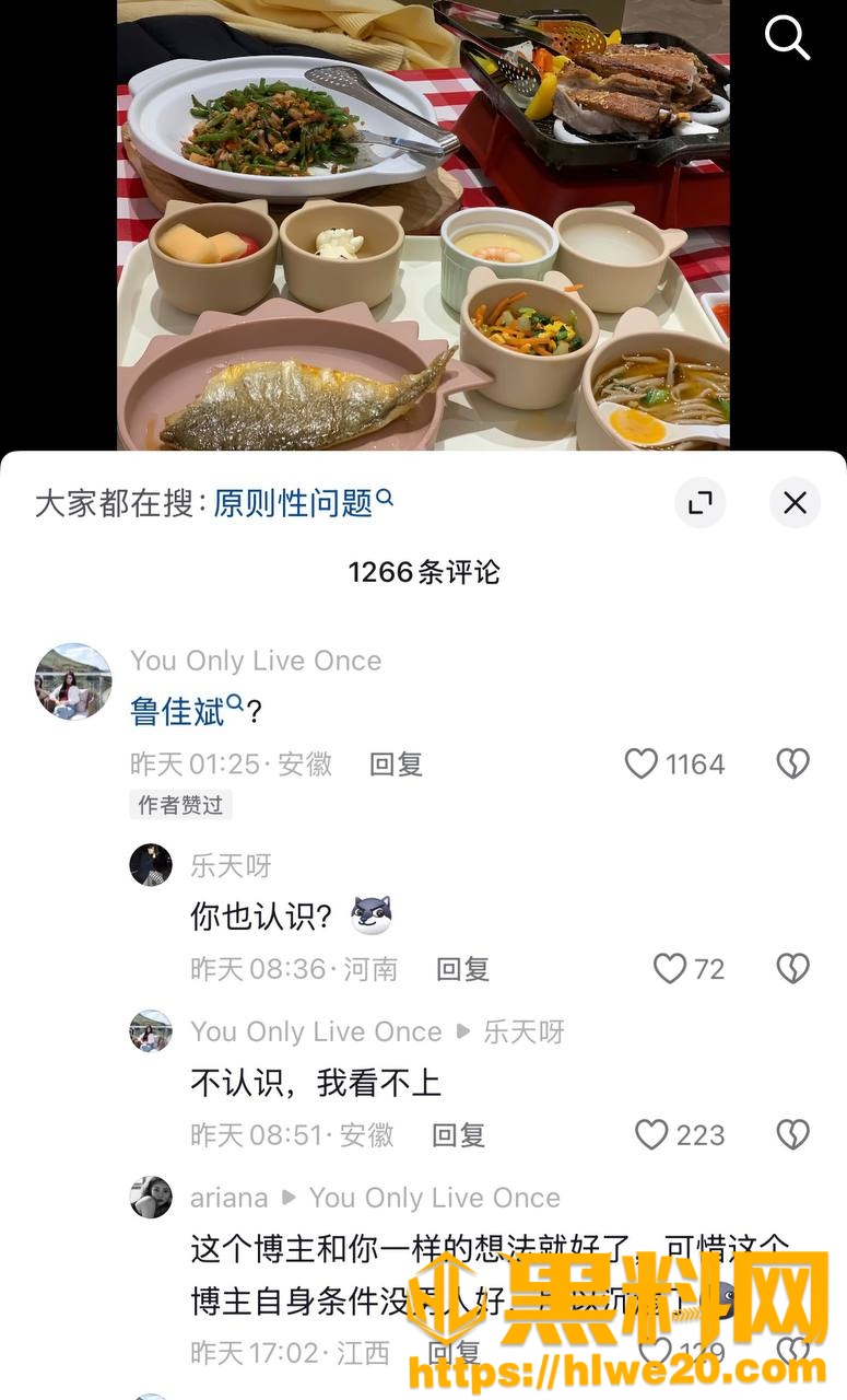 鲁佳斌出轨事件30