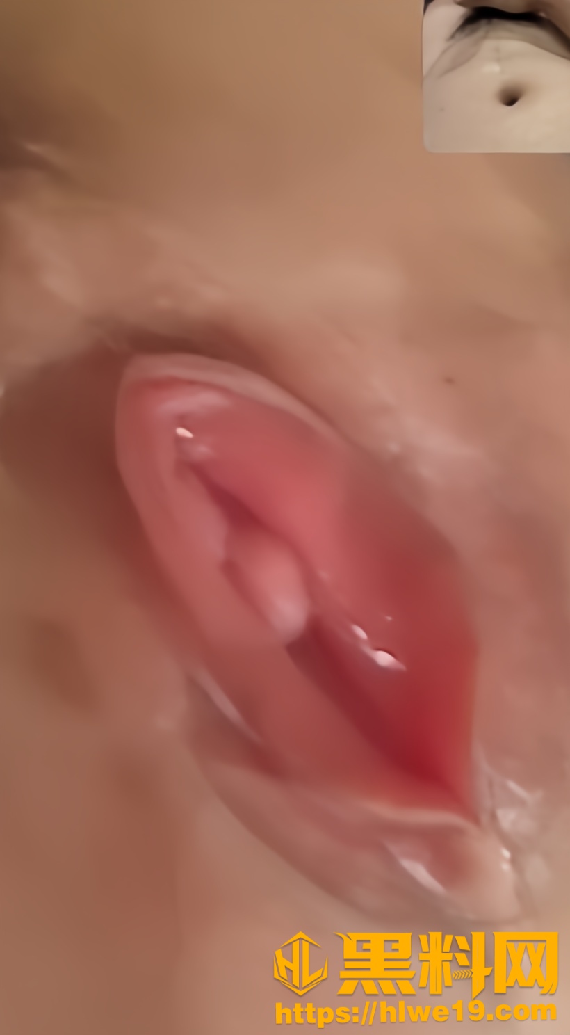 布丁喵6
