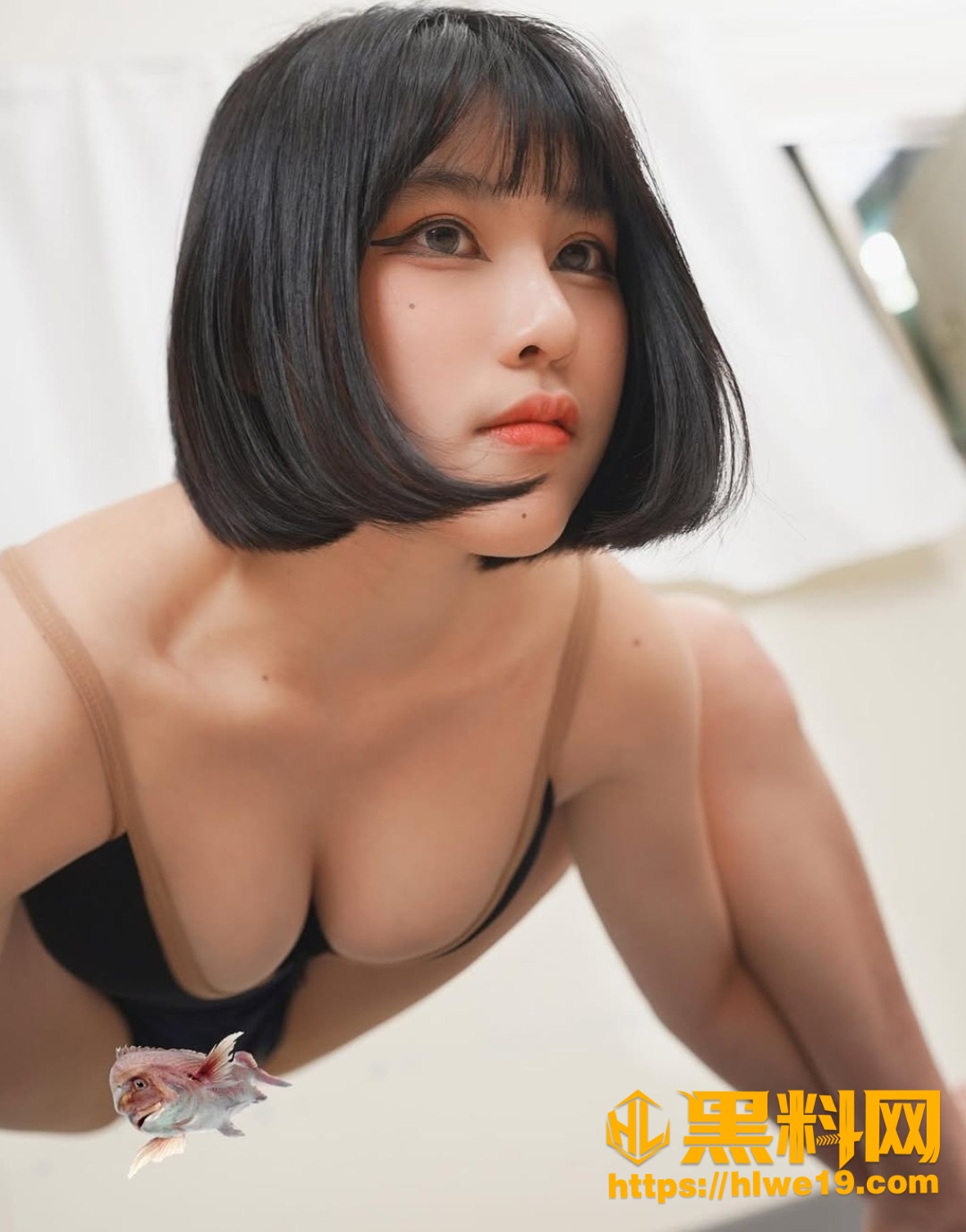 波奇早期黄播资源