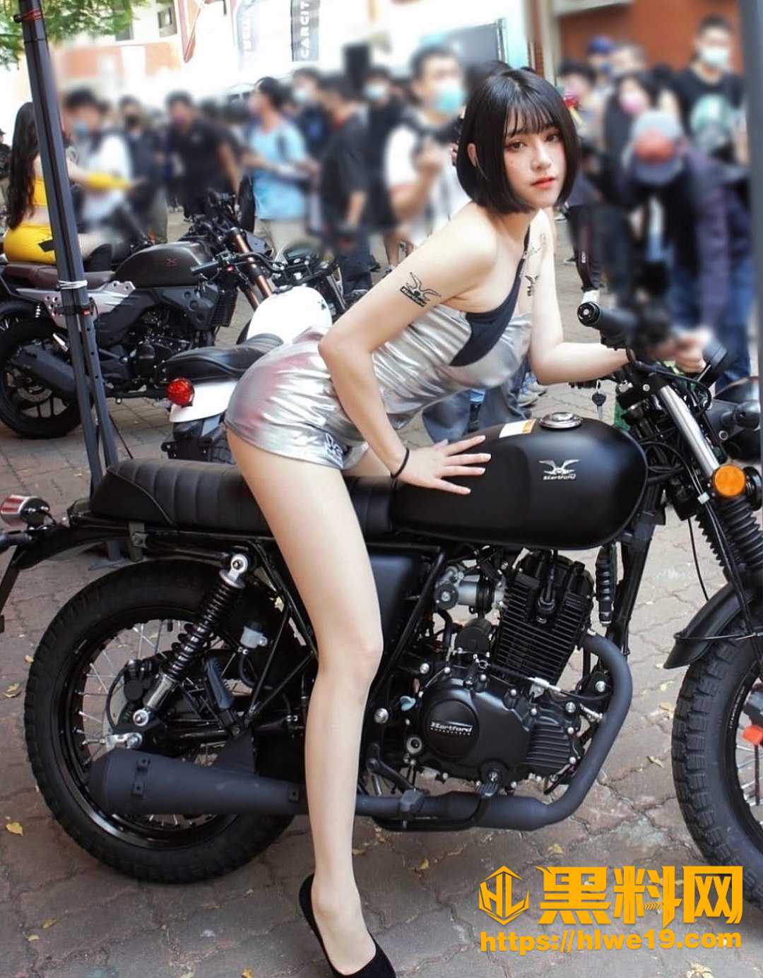 波奇最新视频