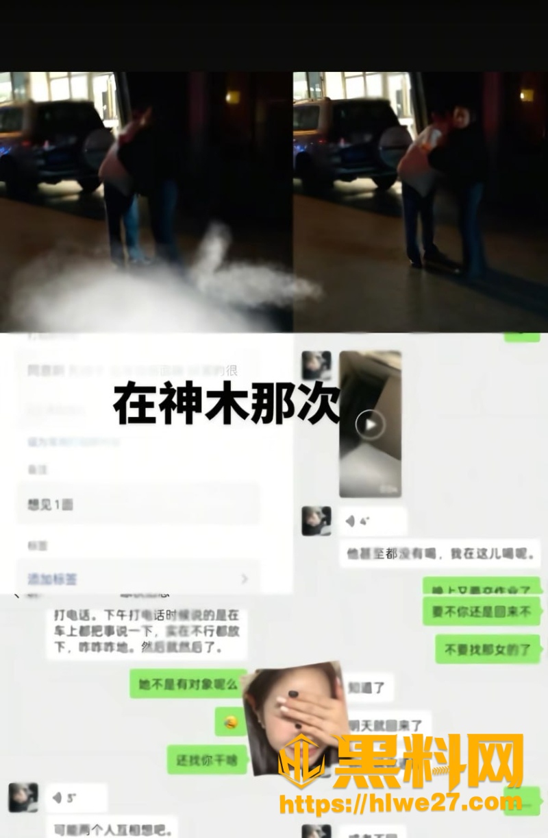 雷秦俊出轨性爱视频4