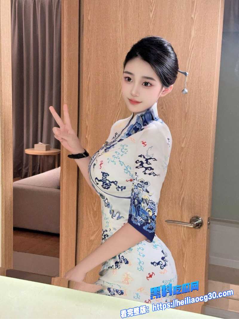 高颜值空姐2