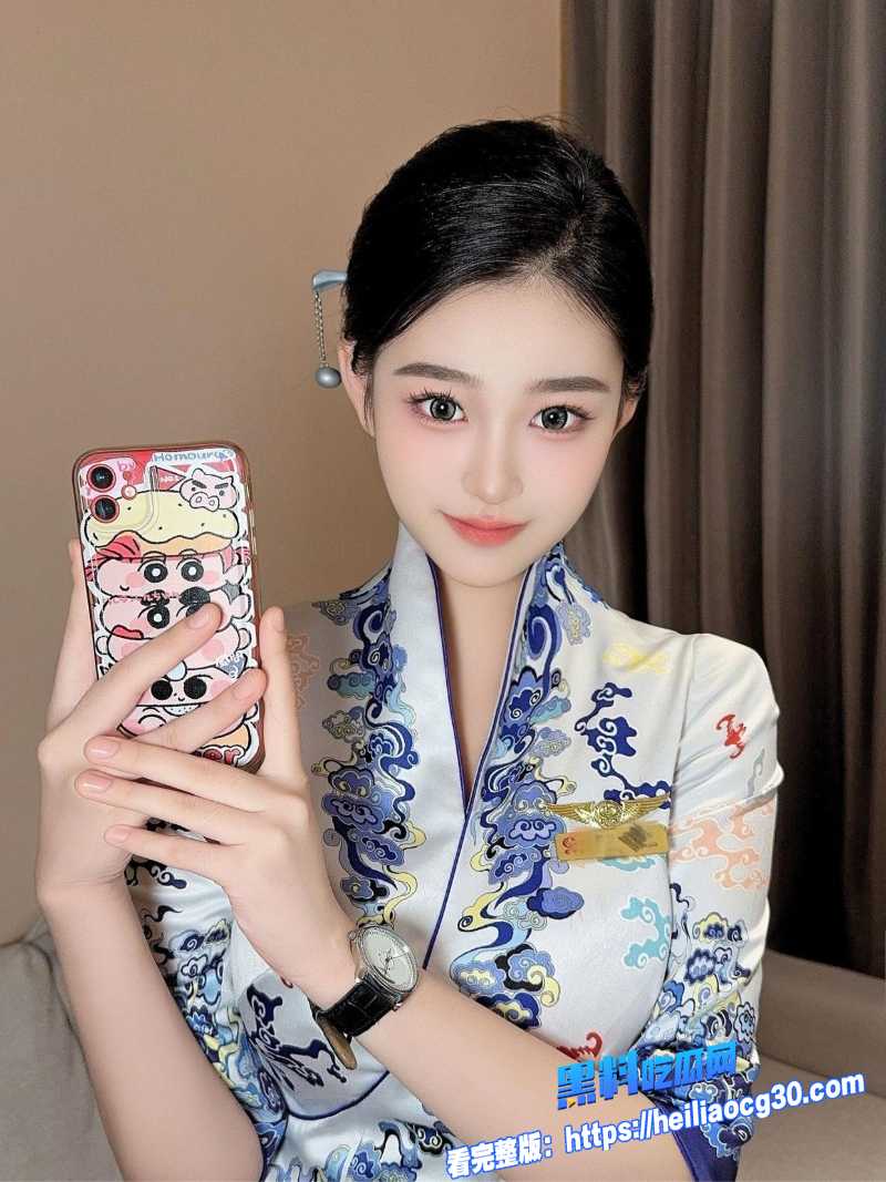 高颜值空姐3