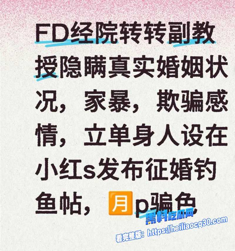 复旦经院副教授王龙14