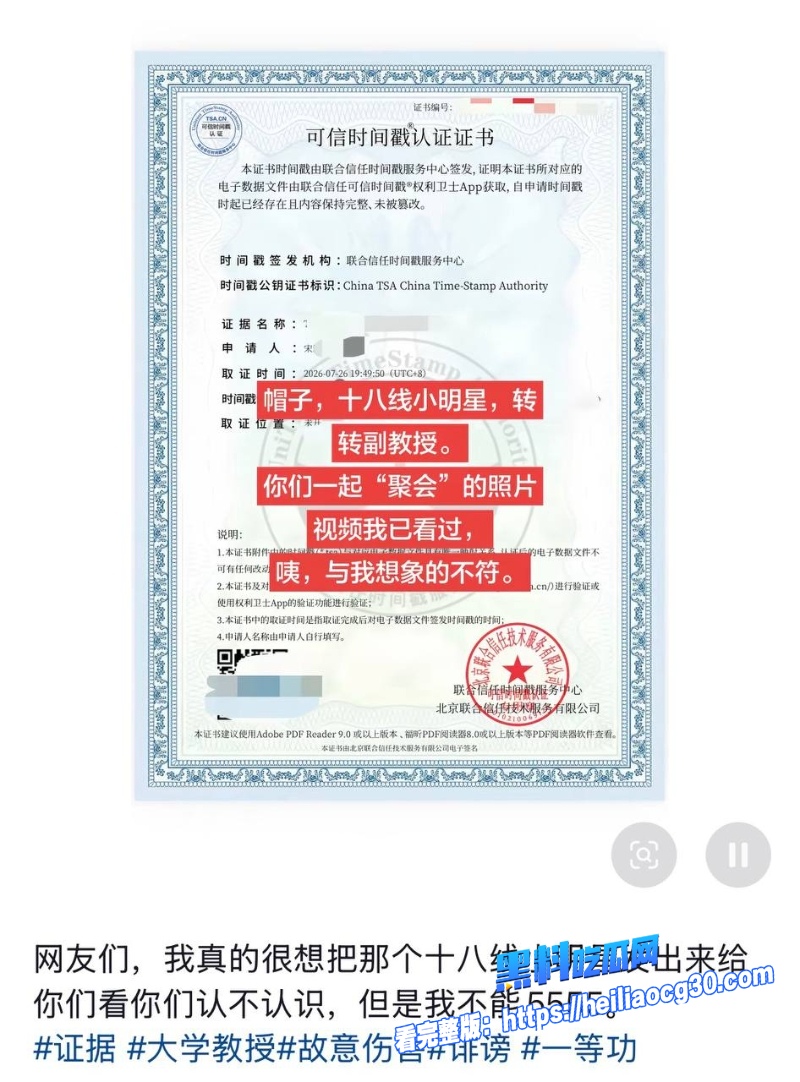 复旦经院副教授王龙28