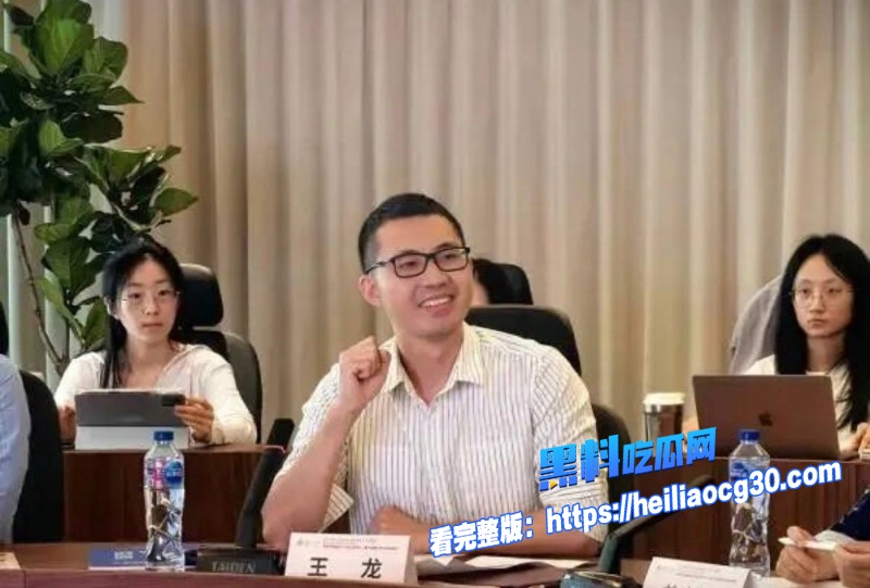 复旦经院副教授王龙30