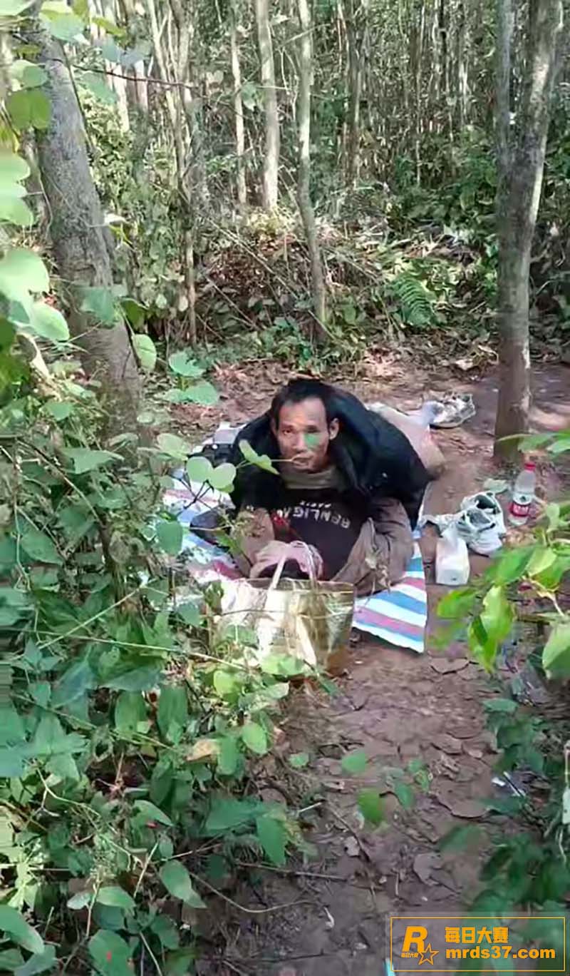 大爷大妈小树林激烈野相关图片1