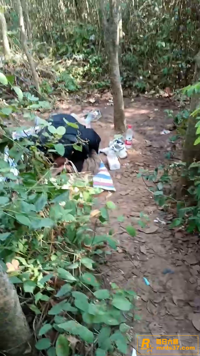大爷大妈小树林激烈野相关图片6