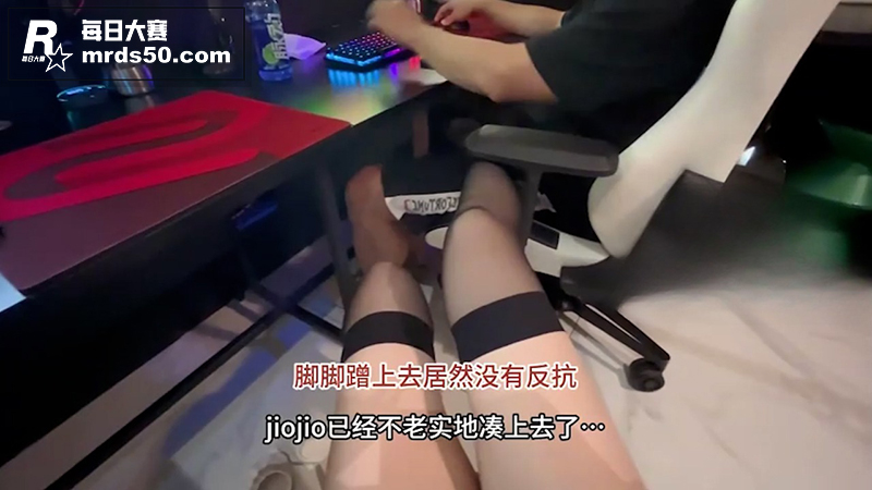 体验当鸡的一天Vlo相关图片3