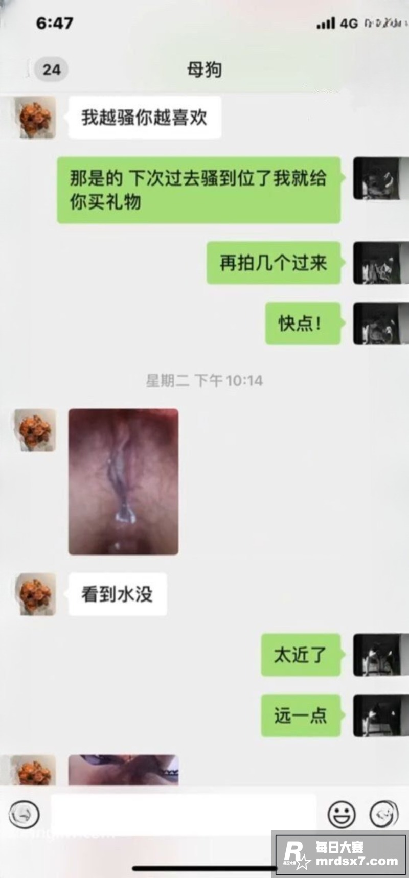 大连极品健身女教练 相关图片3