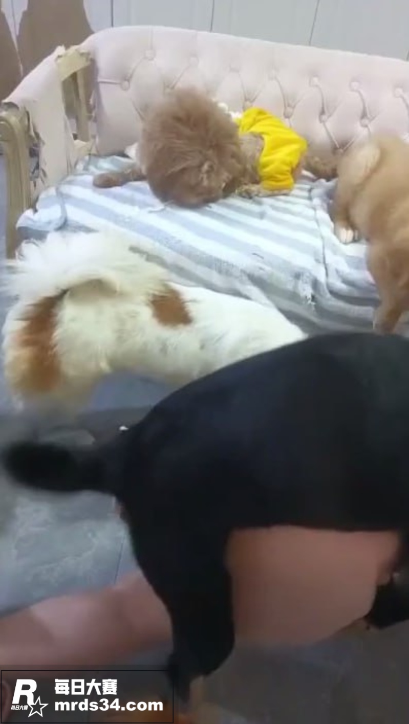抖音前猎奇擦边网红 相关图片11