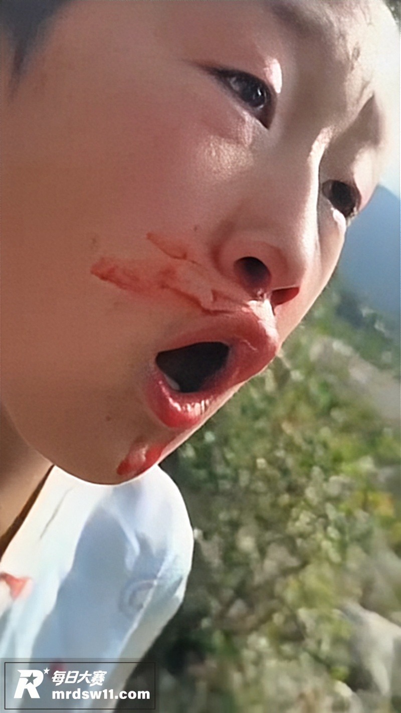 甘肃临夏回族自治州霸相关图片4